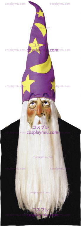 Wizard Mask With Hair and Possède